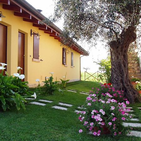 Agriturismo Tenuta Santa Maria Notaresco ภายนอก รูปภาพ