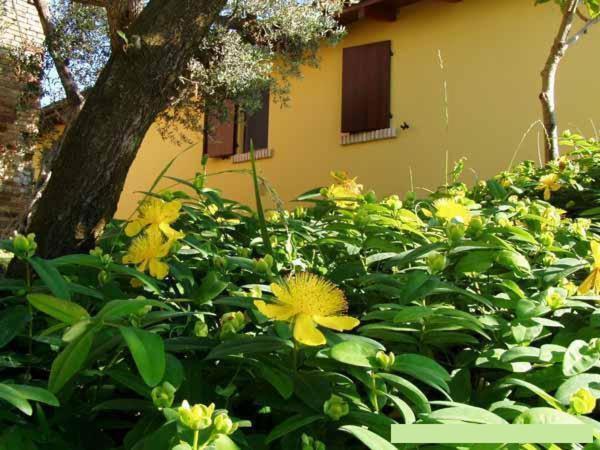 Agriturismo Tenuta Santa Maria Notaresco ภายนอก รูปภาพ