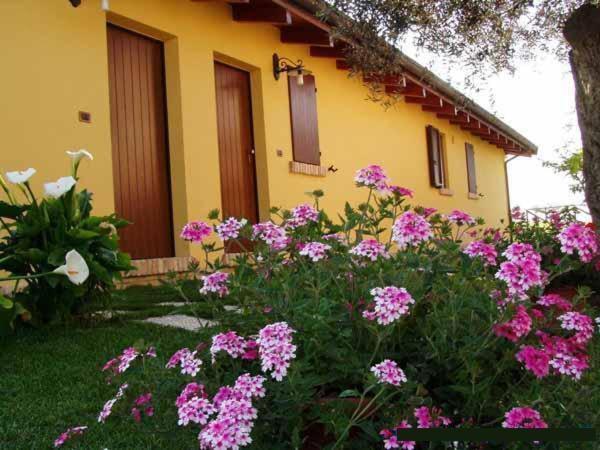 Agriturismo Tenuta Santa Maria Notaresco ภายนอก รูปภาพ