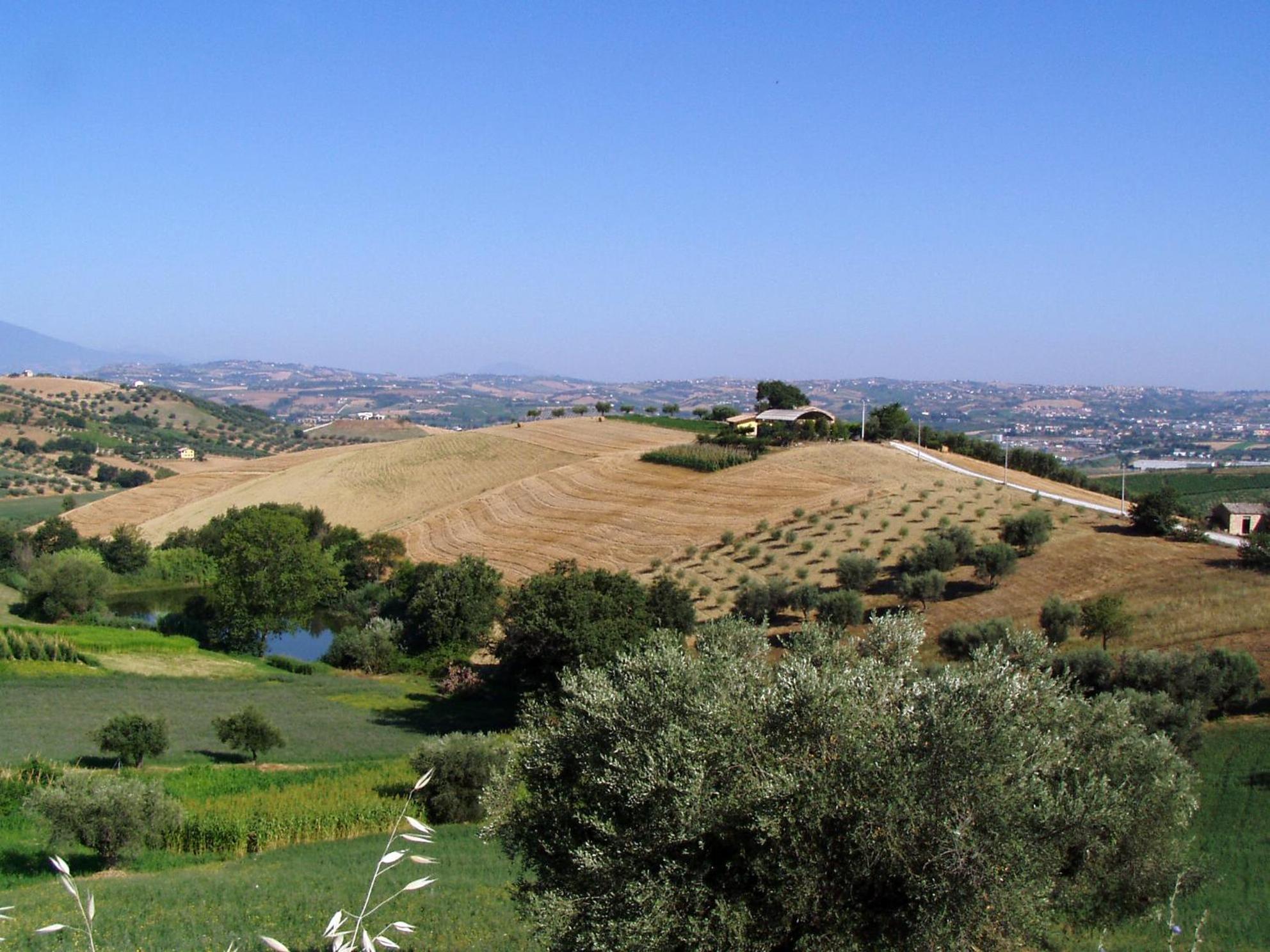 Agriturismo Tenuta Santa Maria Notaresco ภายนอก รูปภาพ