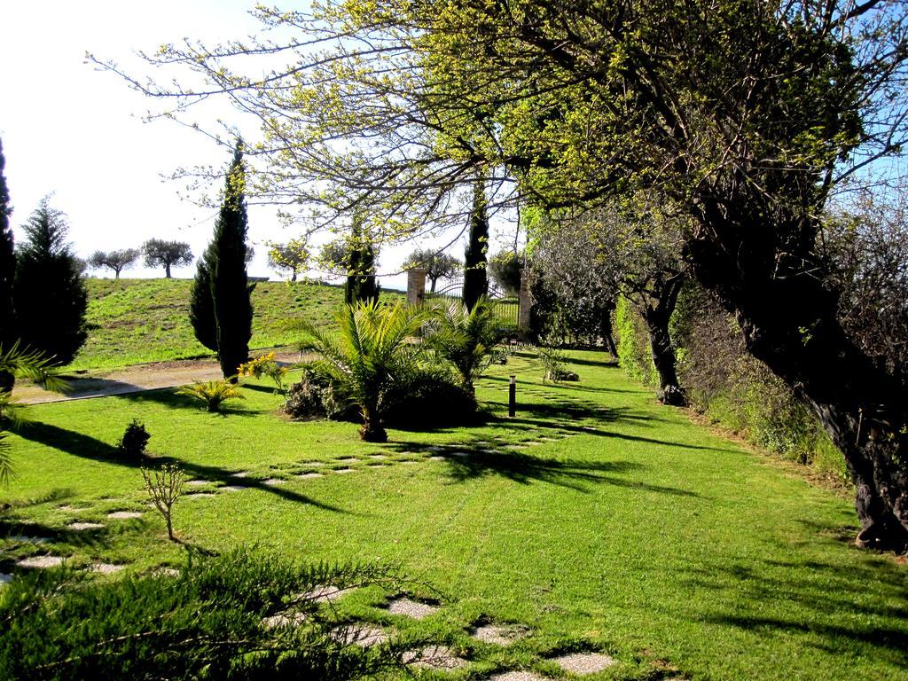 Agriturismo Tenuta Santa Maria Notaresco ภายนอก รูปภาพ