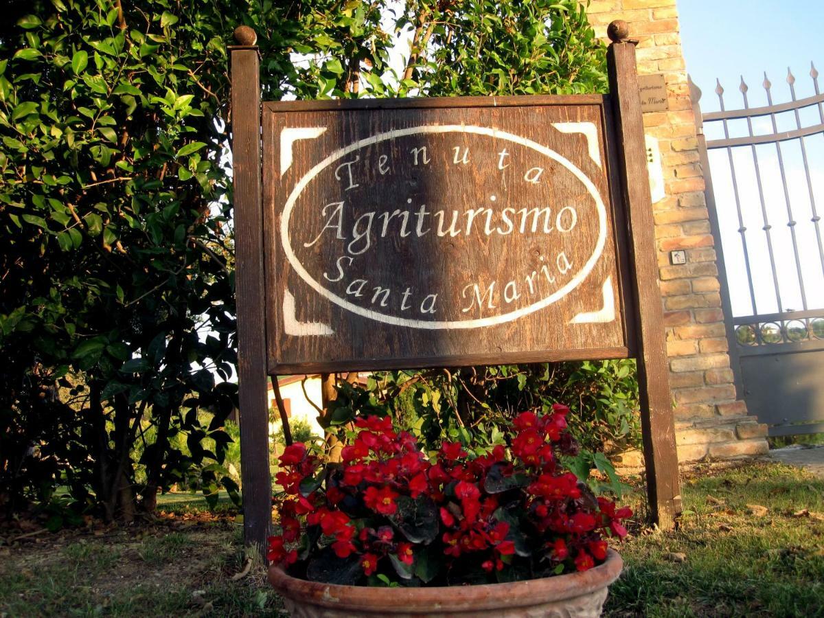 Agriturismo Tenuta Santa Maria Notaresco ภายนอก รูปภาพ