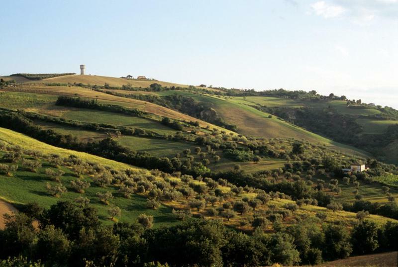 Agriturismo Tenuta Santa Maria Notaresco ภายนอก รูปภาพ