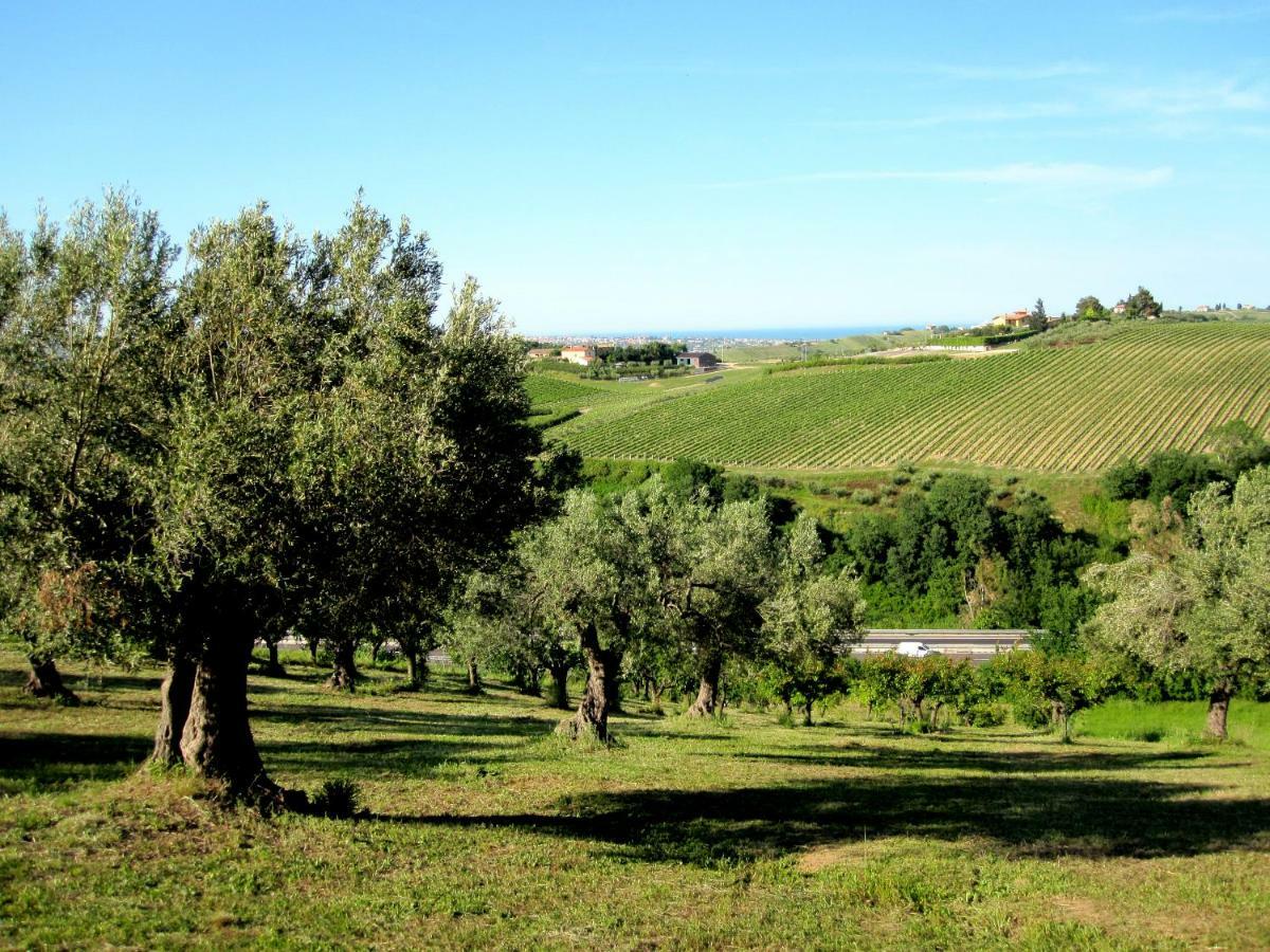 Agriturismo Tenuta Santa Maria Notaresco ภายนอก รูปภาพ